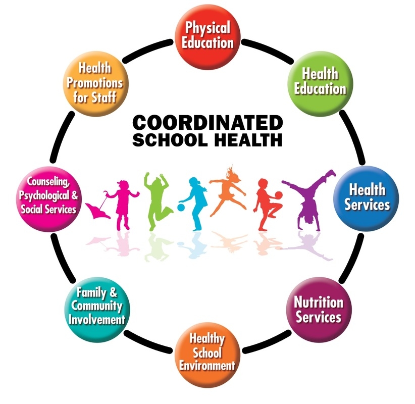 Coordinated school health infographic